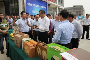 蚌埠首座電商特色創(chuàng)業(yè)孵化園落戶懷遠(yuǎn)，匯聚電子商務(wù)新動(dòng)能